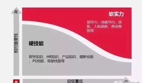 無人水餃工廠的興起 自動化浪潮下的挑戰(zhàn)與數(shù)字文創(chuàng)的機(jī)遇